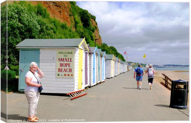 Small Hope Beach. Canvas Print by john hill