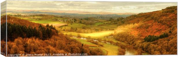 Golden hour at Symonds Yat Panoramic Canvas Print by Diana Mower