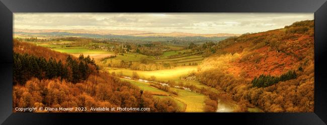 Golden hour at Symonds Yat Panoramic Framed Print by Diana Mower