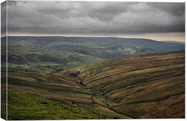 Swaledale, The Yorkshire Dales Canvas Print by Sandi-Cockayne ADPS