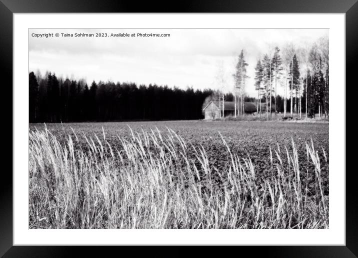 October Country Scene Black and White Framed Mounted Print by Taina Sohlman