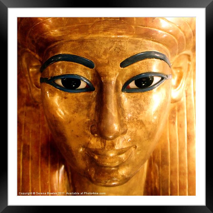Golden Queen - Egyptian Sarcophagus Framed Mounted Print by Serena Bowles