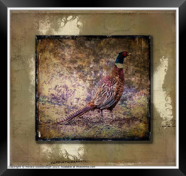 Pheasant Framed Print by Horace Goodenough