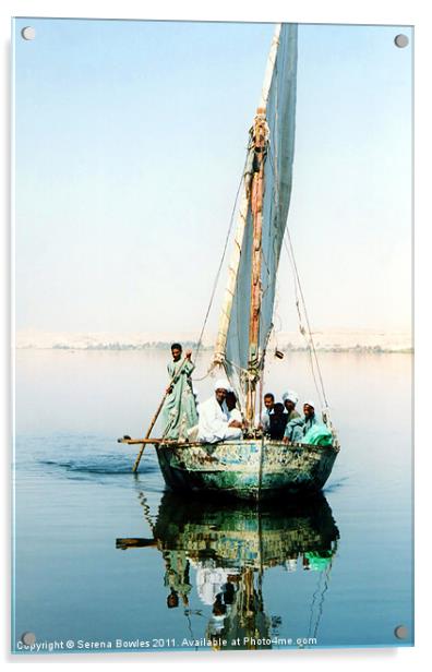 Felucca Ferry on the Nile, Egypt Acrylic by Serena Bowles
