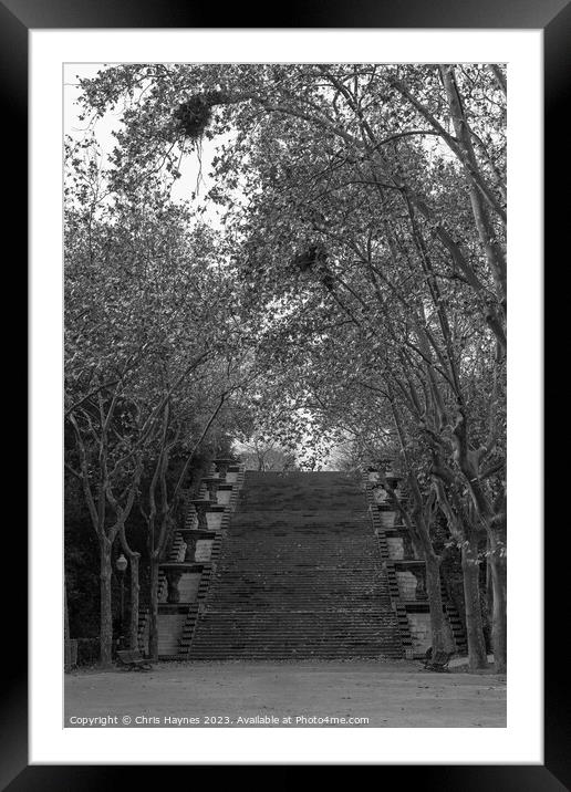 Tree lined steps Framed Mounted Print by Chris Haynes