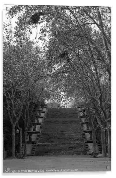 Tree lined steps Acrylic by Chris Haynes