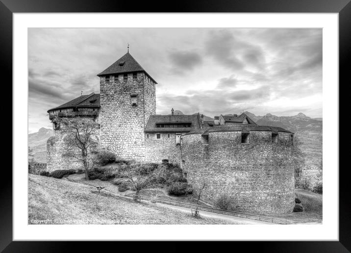 Vaduz Castle Liechtenstein    Framed Mounted Print by David Pyatt
