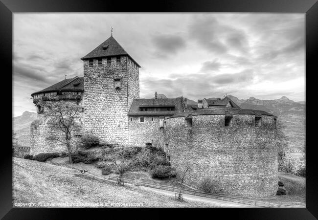 Vaduz Castle Liechtenstein    Framed Print by David Pyatt