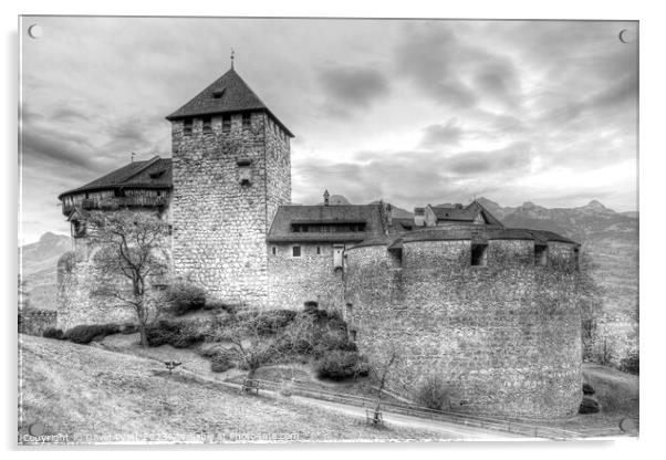 Vaduz Castle Liechtenstein    Acrylic by David Pyatt