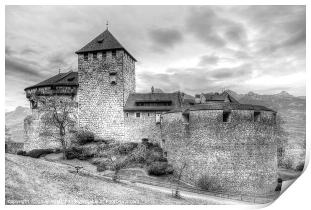 Vaduz Castle Liechtenstein    Print by David Pyatt