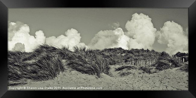 Dunes Framed Print by Sharon Lisa Clarke