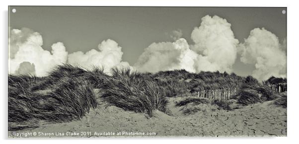 Dunes Acrylic by Sharon Lisa Clarke