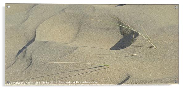 Sand Acrylic by Sharon Lisa Clarke
