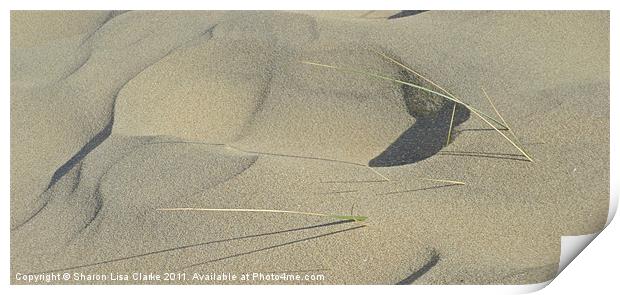 Sand Print by Sharon Lisa Clarke