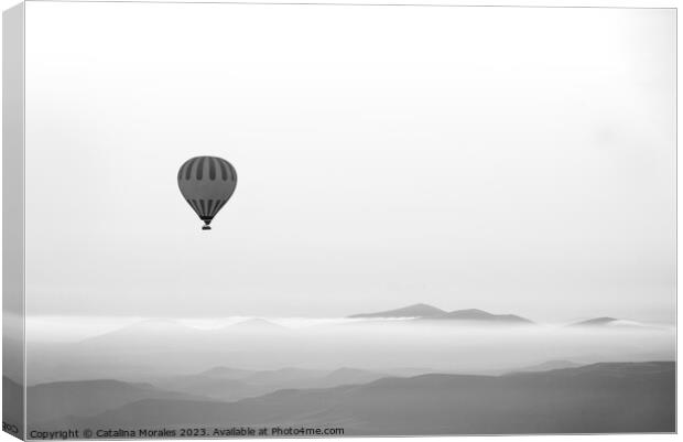 Hot air balloon in Black and White Canvas Print by Catalina Morales