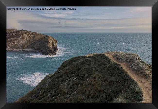 Lulworth Cove headland Framed Print by Duncan Savidge