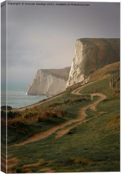 White Cliffs of Dorset Canvas Print by Duncan Savidge