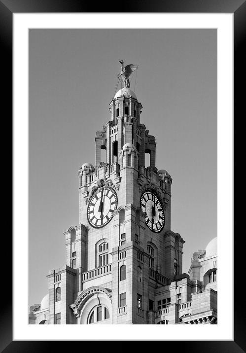 Royal Liver Building Framed Mounted Print by Darren Galpin
