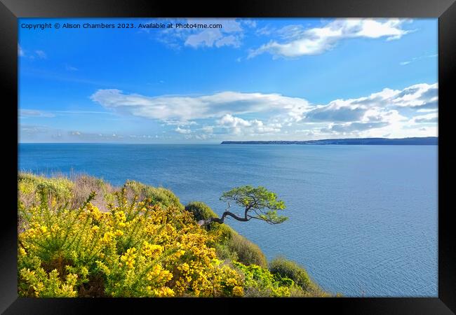 Torquay   Framed Print by Alison Chambers