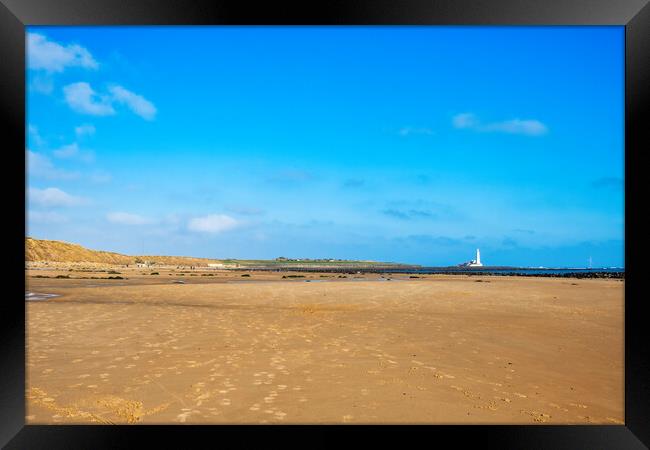 St Marys Lighthouse Framed Print by Steve Smith