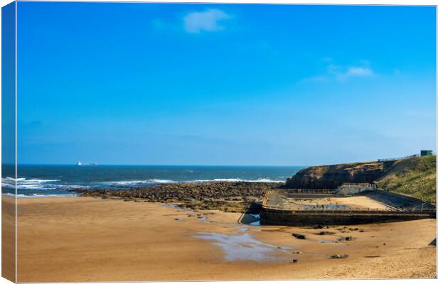 Serene Shores of Tynemouth Canvas Print by Steve Smith