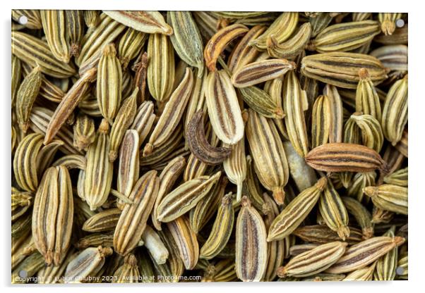 Dried fennel seeds aromatic spice, food background Acrylic by Lubos Chlubny