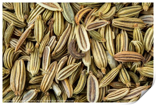 Dried fennel seeds aromatic spice, food background Print by Lubos Chlubny