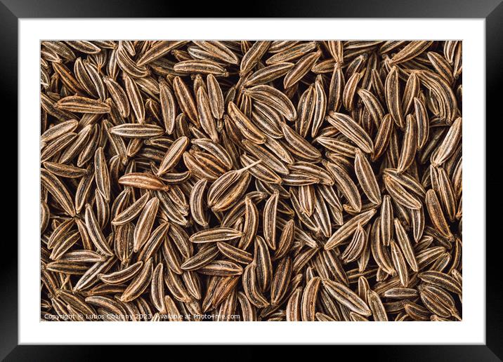 Cumin seed aromatic spice, food background Framed Mounted Print by Lubos Chlubny