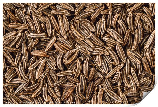 Cumin seed aromatic spice, food background Print by Lubos Chlubny