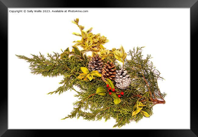 Decoration with berries and pine-cones Framed Print by Sally Wallis
