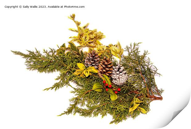 Decoration with berries and pine-cones Print by Sally Wallis