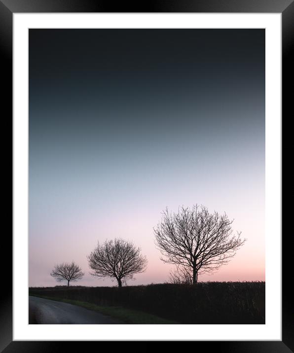 Three Trees Framed Mounted Print by Mark Jones