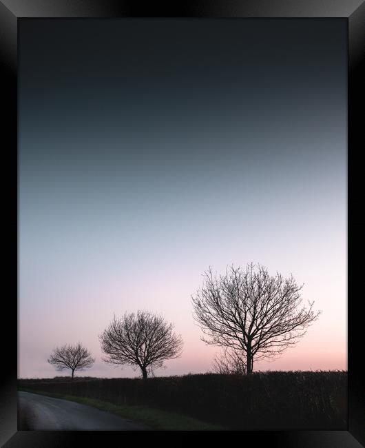 Three Trees Framed Print by Mark Jones