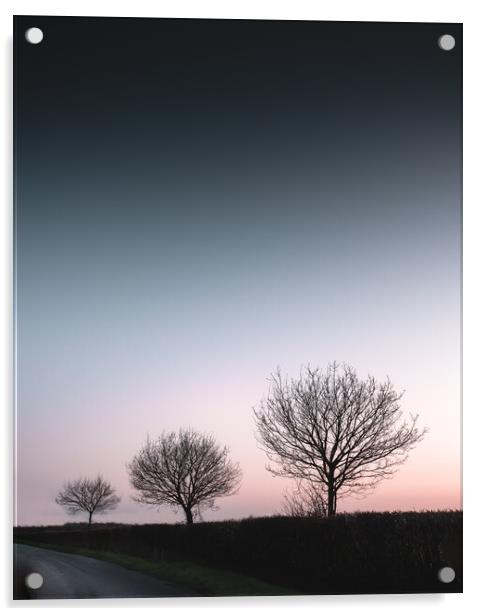 Three Trees Acrylic by Mark Jones