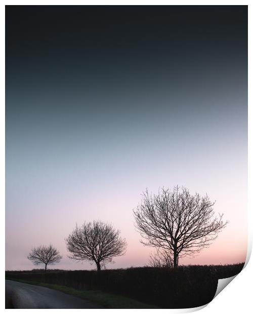 Three Trees Print by Mark Jones