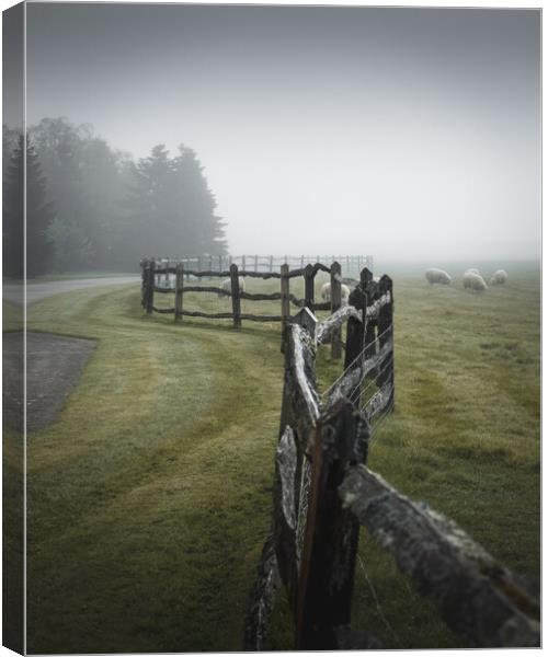 Fence in the Mist Canvas Print by Mark Jones