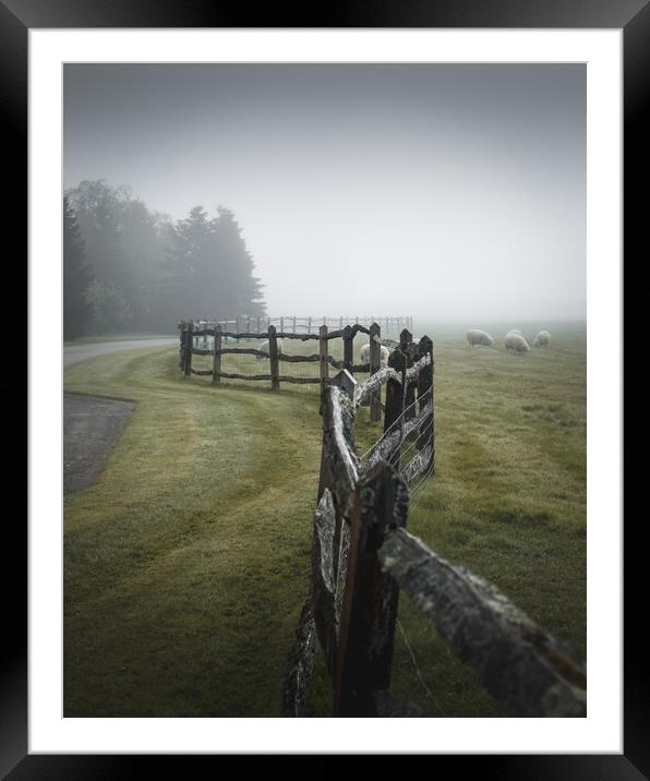 Fence in the Mist Framed Mounted Print by Mark Jones