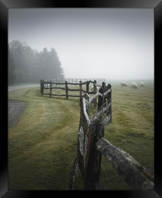 Fence in the Mist Framed Print by Mark Jones