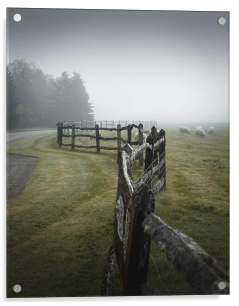 Fence in the Mist Acrylic by Mark Jones