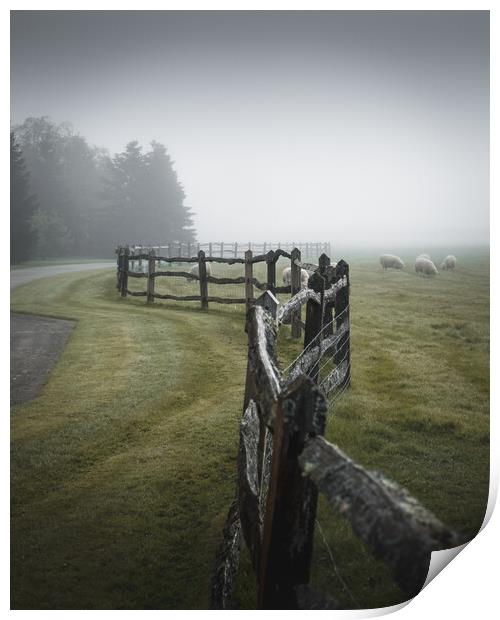 Fence in the Mist Print by Mark Jones