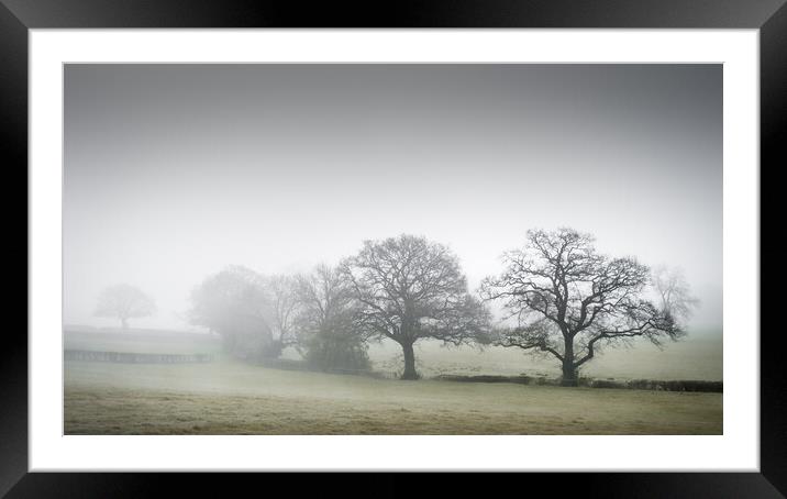 Misty Trees Framed Mounted Print by Mark Jones