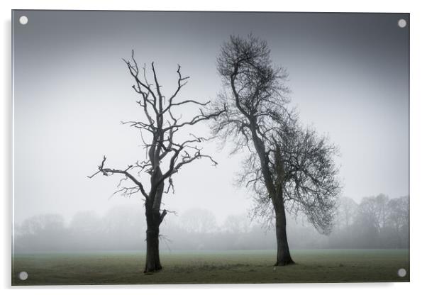 Two Trees in the Mist Acrylic by Mark Jones