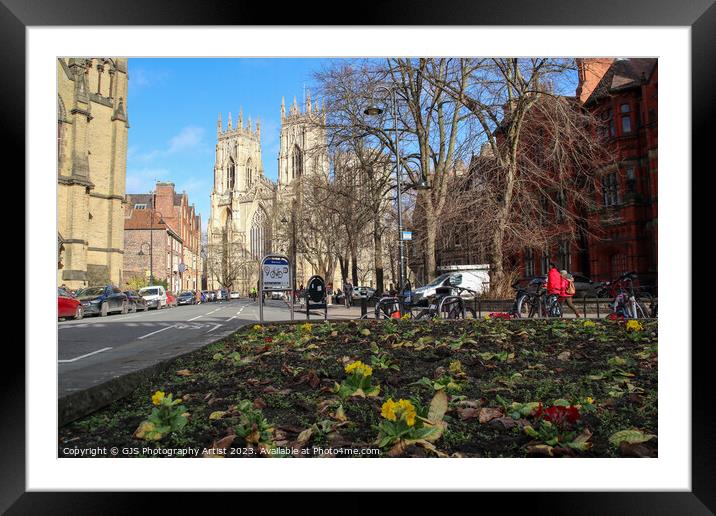 York Minster from the Flowerbed Framed Mounted Print by GJS Photography Artist