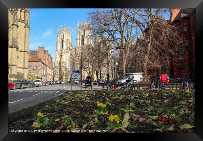 York Minster from the Flowerbed Framed Print by GJS Photography Artist