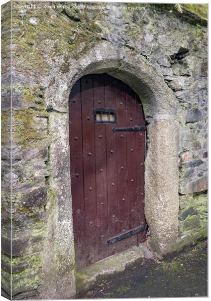 Old vintage wooden door Canvas Print by Kevin White