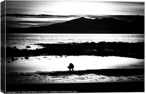  Sunset On Seamill Beach  Canvas Print by Tylie Duff Photo Art