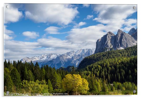 Panoramic view of the famous peaks of the Dolomites, Belluno Pro Acrylic by Lubos Chlubny