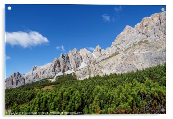 Panoramic view of the famous peaks of the Dolomites, Belluno Pro Acrylic by Lubos Chlubny