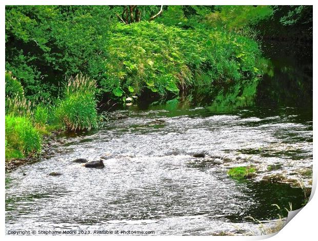 Colebrooke River Print by Stephanie Moore