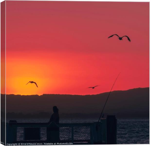 Pilot Bay Sunset Canvas Print by Errol D'Souza